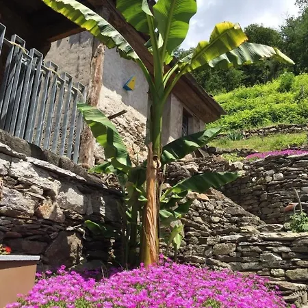 Casa vacanze Ferienhaus 